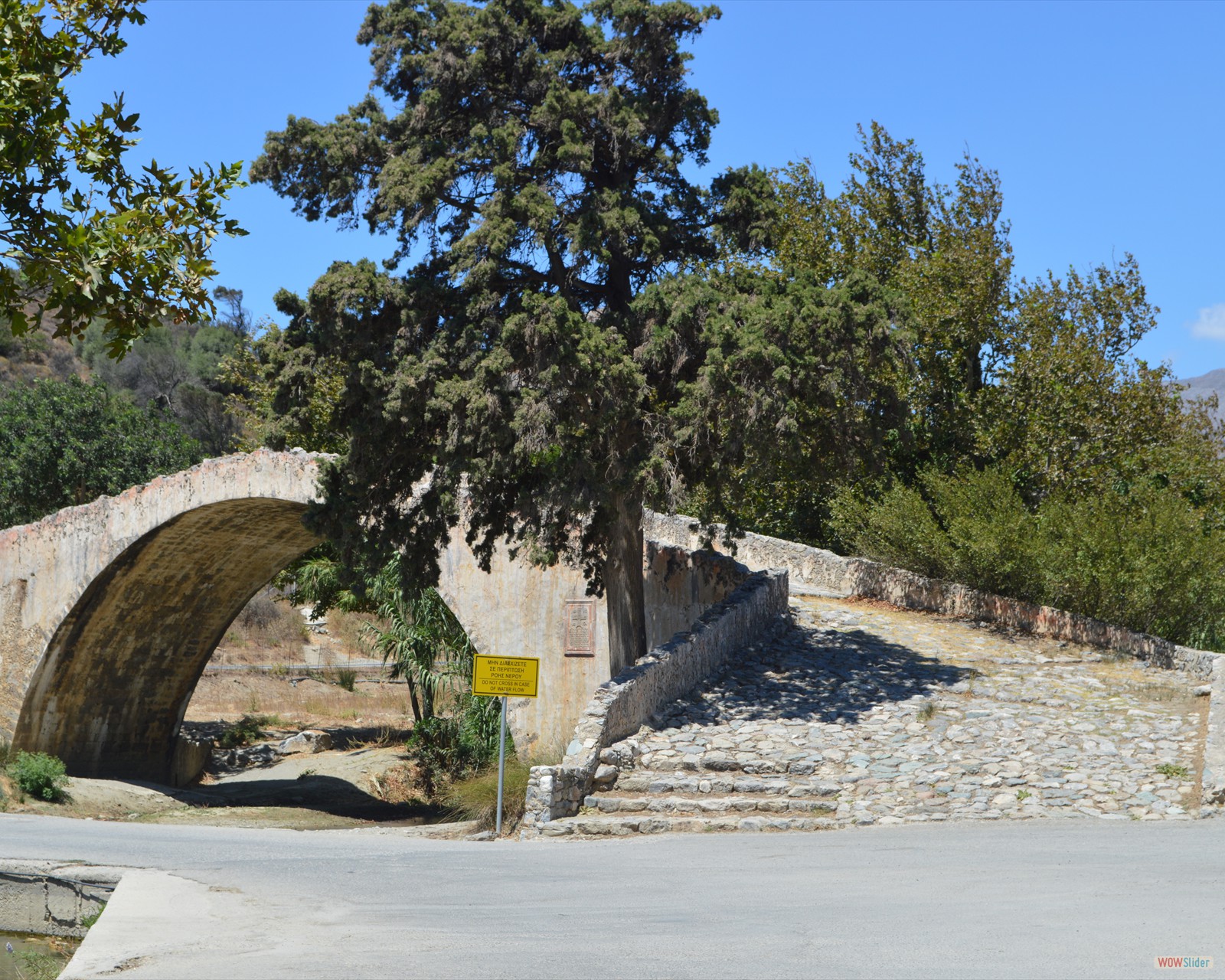 DSC_1499