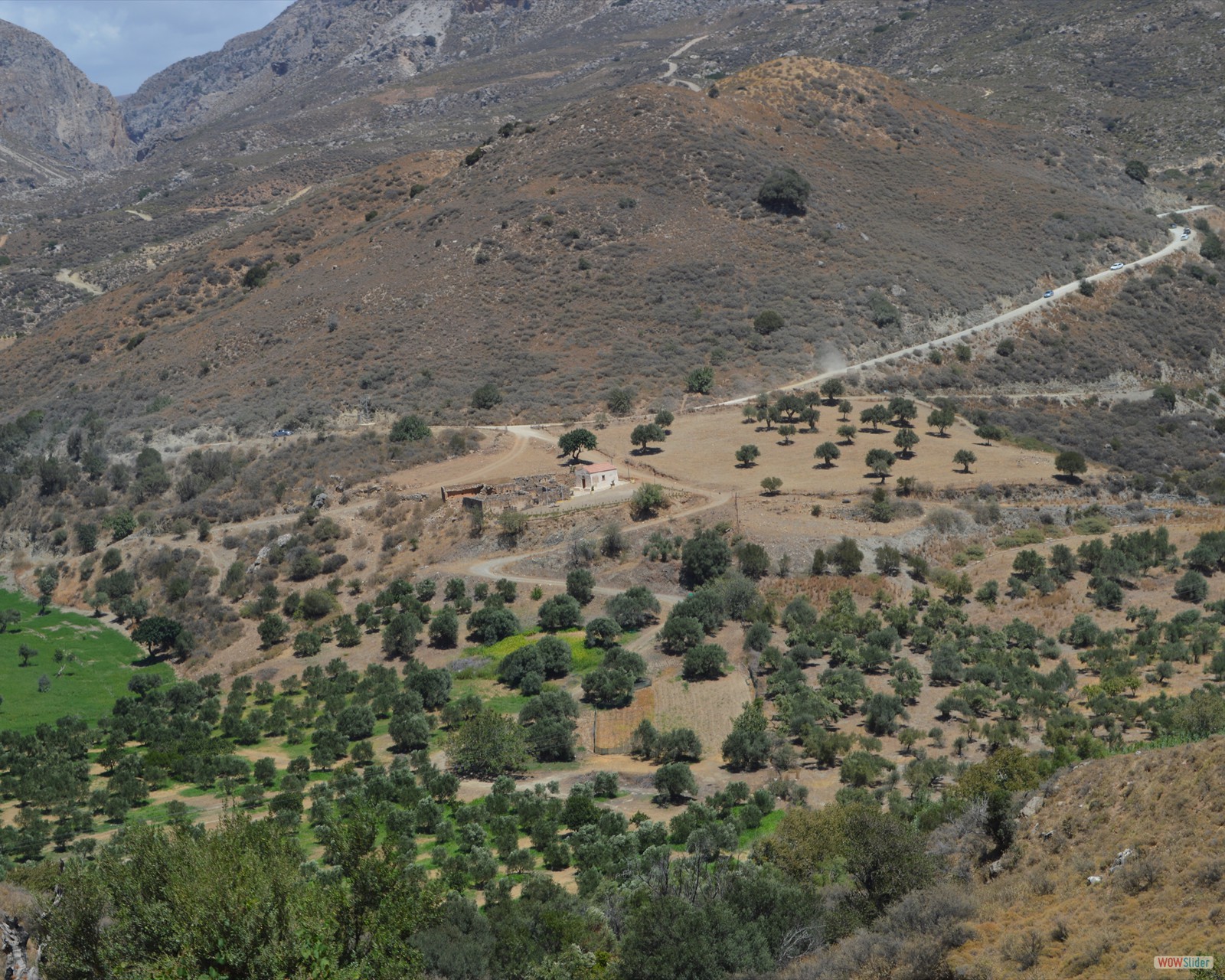 DSC_1501