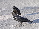 DSCF0358