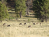 DSCF0361