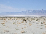 DSCF0200