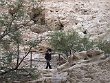 DSCF0610