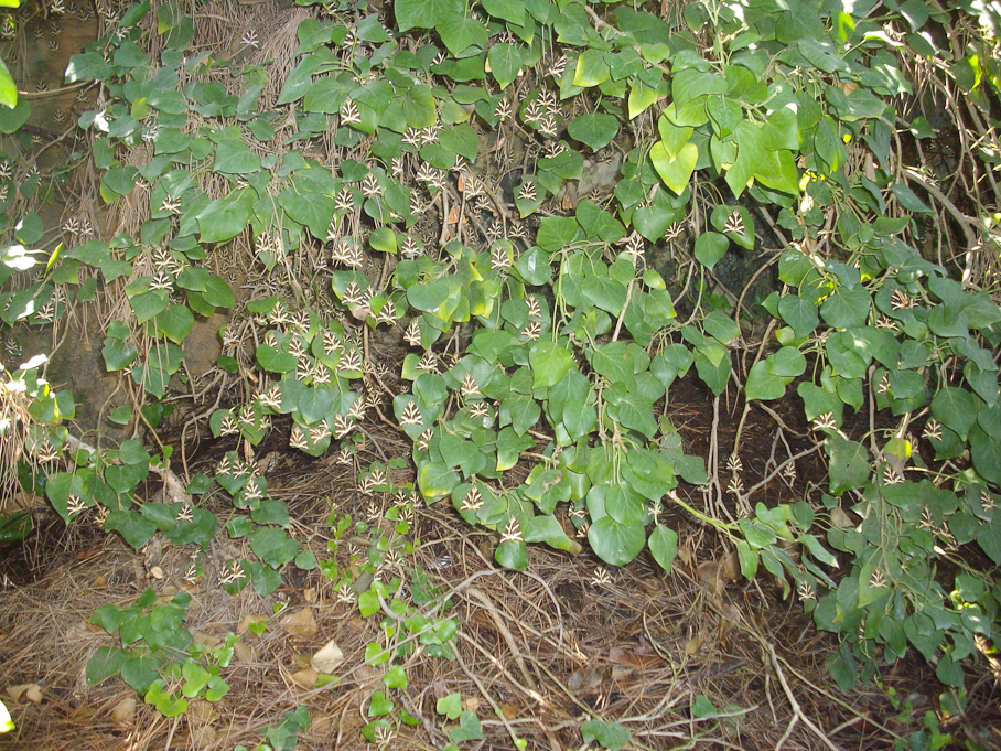 IMGP2464