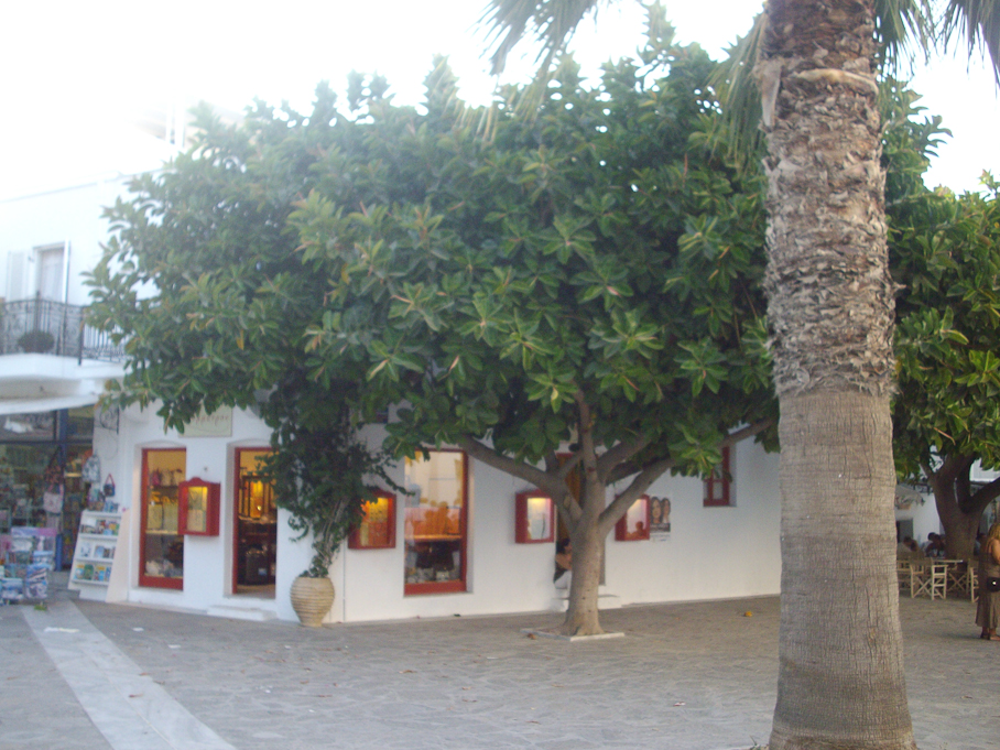 IMGP2482