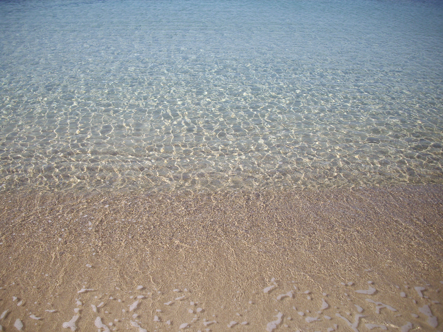IMGP2524