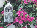 DSCF4889