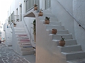 DSCF5010
