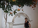 DSCF5077