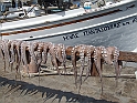 DSCF5161