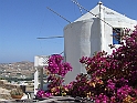 DSCF5202