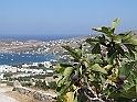 DSCF5206