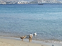 DSCF5229