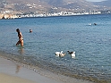 DSCF5232