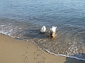 DSCF5245