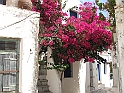 DSCF5283