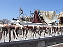 DSCF5312