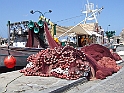 DSCF5314