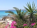 DSCF5398