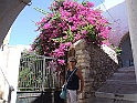 DSCF5422