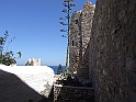 DSCF5430