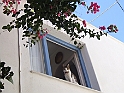 DSCF5433