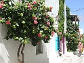 DSCF5558