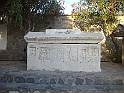 IMGP2478