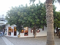 IMGP2482
