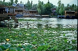 01-086