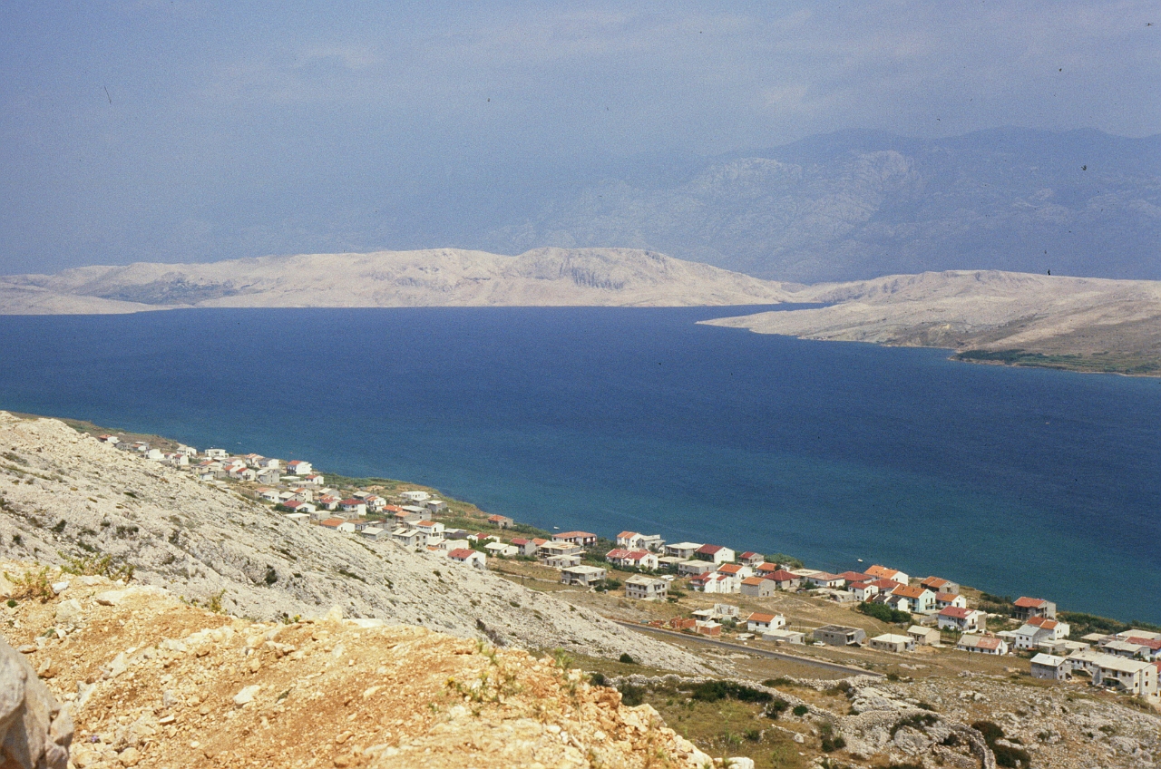 01-036