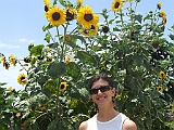 DSCF0799