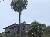 DSCF0806