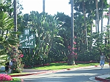 DSCF0843