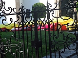 DSCF0847