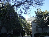 DSCF0864