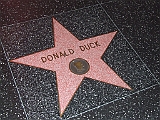DSCF0906