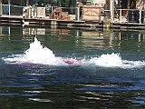 DSCF0959
