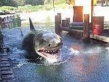 DSCF0964