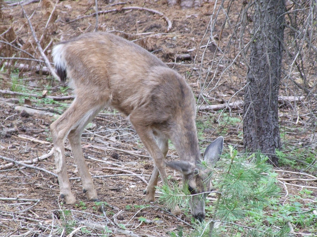 DSCF0171
