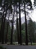 DSCF0161