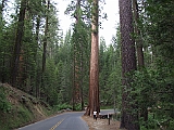 DSCF0163