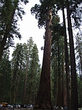 DSCF0164