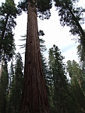 DSCF0166