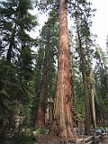 DSCF0167