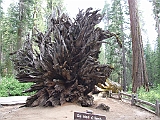DSCF0168
