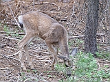 DSCF0171
