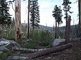 DSCF0173