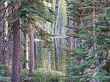 DSCF0175