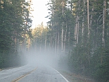 DSCF0178