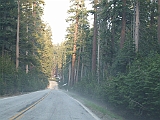 DSCF0180